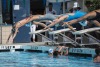 Coquitlam Sharks - 2019 Simon Fraser Regional Championships