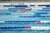 Coquitlam Sharks - 2019 Simon Fraser Regional Championships
