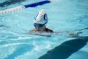 Coquitlam Sharks - 2019 Simon Fraser Regional Championships