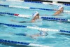 Coquitlam Sharks - 2019 Simon Fraser Regional Championships
