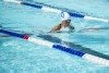 Coquitlam Sharks - 2019 Simon Fraser Regional Championships