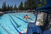 Coquitlam Sharks - 2019 Simon Fraser Regional Championships