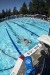 Coquitlam Sharks - 2019 Simon Fraser Regional Championships