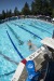 Coquitlam Sharks - 2019 Simon Fraser Regional Championships