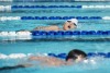 Coquitlam Sharks - 2019 Simon Fraser Regional Championships