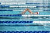 Coquitlam Sharks - 2019 Simon Fraser Regional Championships
