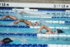 Coquitlam Sharks - 2019 Simon Fraser Regional Championships