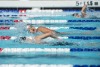 Coquitlam Sharks - 2019 Simon Fraser Regional Championships