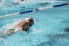 Coquitlam Sharks - 2019 Simon Fraser Regional Championships