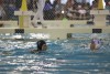 Sharks_July_25_2022_Waterpolo-052