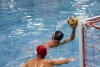 Sharks_July_25_2022_Waterpolo-124