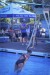 DSC00971