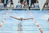 2023-coquitlam-sharks-Barracuda-meet-4