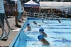 SharksPark2023-031