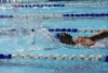 SharksPark2023-072