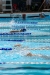 SharksPark2023-229