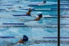 SharksPark2023-342