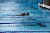 SharksPark2023-361
