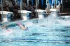 Coquitlam Sharks Simon Fraser Regionals 2024 - Saturday
