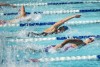 Coquitlam Sharks Simon Fraser Regionals 2024 - Saturday