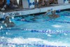 Coquitlam Sharks Simon Fraser Regionals 2024 - Saturday