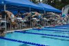 Coquitlam Sharks in the Park 2025