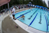 Coquitlam Sharks in the Park 2026