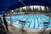 Coquitlam Sharks in the Park 2026
