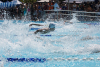 SharksInTheParkMeet_190726-106
