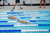 Coquitlam Sharks