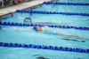 Coquitlam Sharks