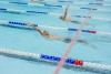 Coquitlam Sharks