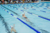 Coquitlam Sharks