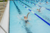 Coquitlam Sharks