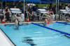 Coquitlam Sharks