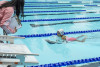 Coquitlam Sharks