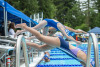 Coquitlam Sharks