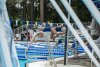 Coquitlam Sharks