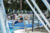 Coquitlam Sharks
