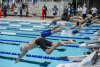 Coquitlam Sharks