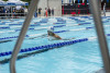Coquitlam Sharks