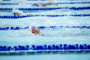 Coquitlam Sharks
