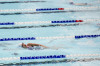 Coquitlam Sharks