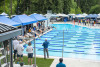 Coquitlam Sharks
