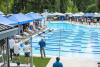 Coquitlam Sharks