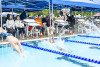 Coquitlam Sharks