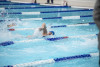 Coquitlam Sharks