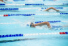 Coquitlam Sharks
