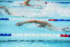 Coquitlam Sharks